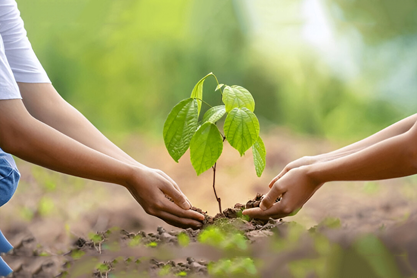 Texas Land Conservancy: 6 Steps for Landowners