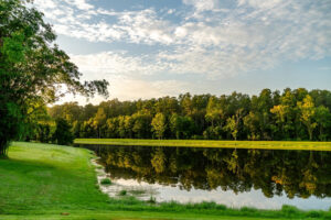 Texas land prices 2026 average cost per acre rural property map