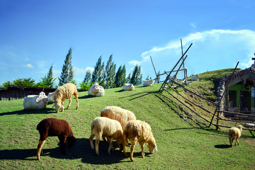Best Ranch and Recreational Land Loans